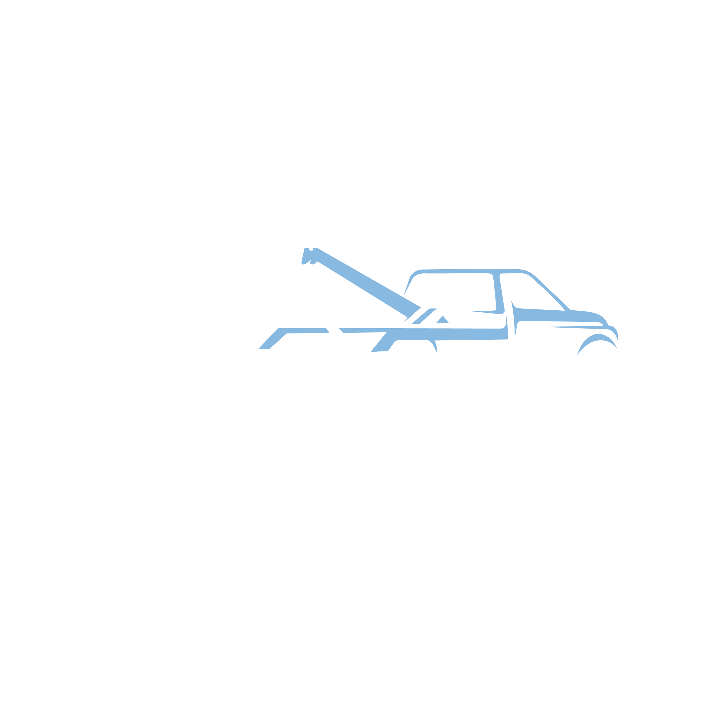 MSD-LOGO